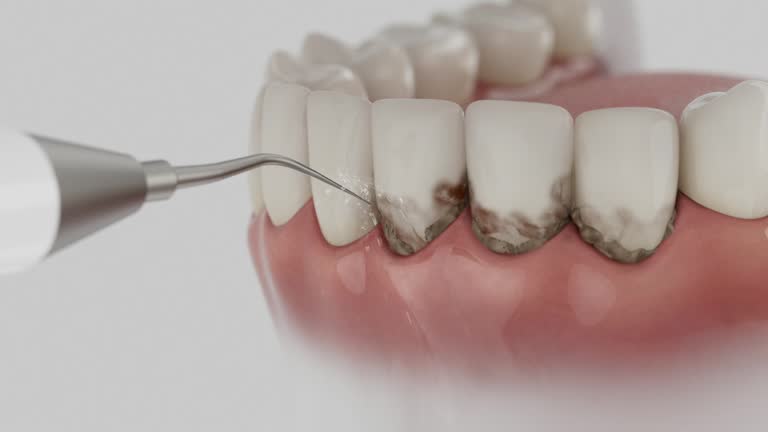 Reliable Dental contractor in Hopkinsville, KY by Dentist Open Now